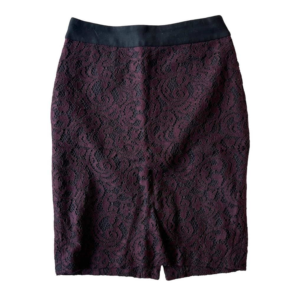 Ann Taylor Loft Lace Overlay Skirt 00